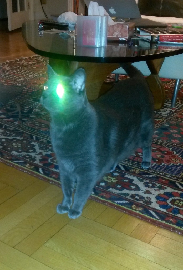 Cat with laser eye