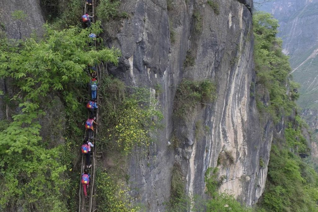 students on ladder